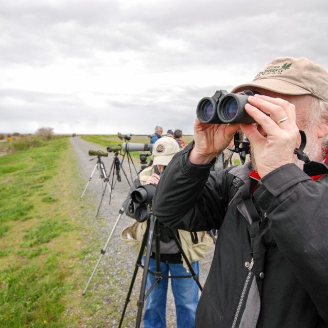 British Columbia Birding with Canadian Geographic