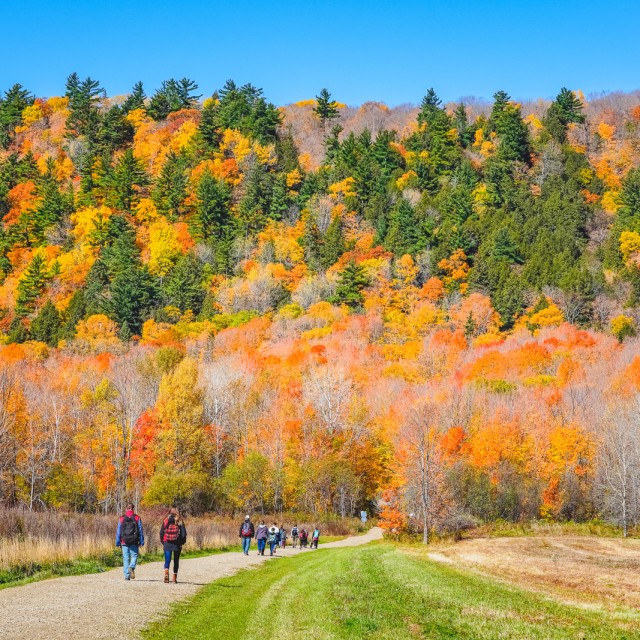 Cap Tourmente National Wildlife Area, Quebec, fall colours