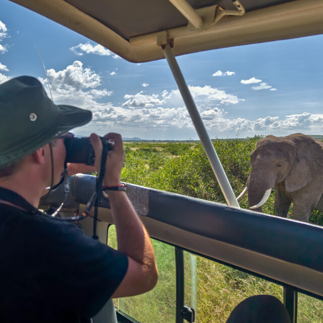 Photographer taking pictures of an African elephants, wild animal, safari game drive, Eco travel and tourism, Kruger national park, South Africa
