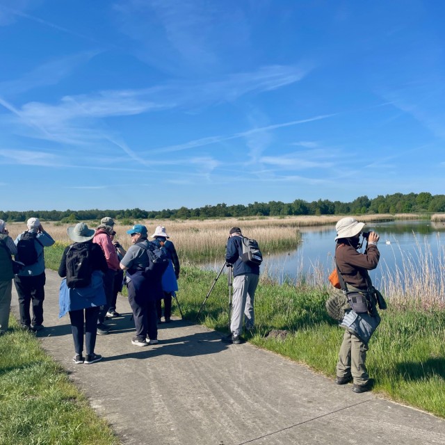 Typical polder landscape at Wetering