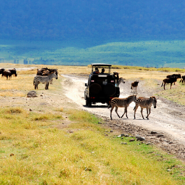 Safari vehicle with tourists during a wildlife viewing in the Ngorongoro crater,Tanzania.