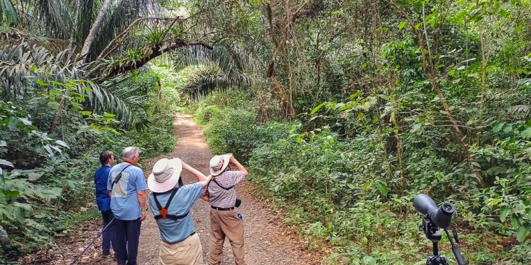 Panama Birding Tour 2022 Trip Report
