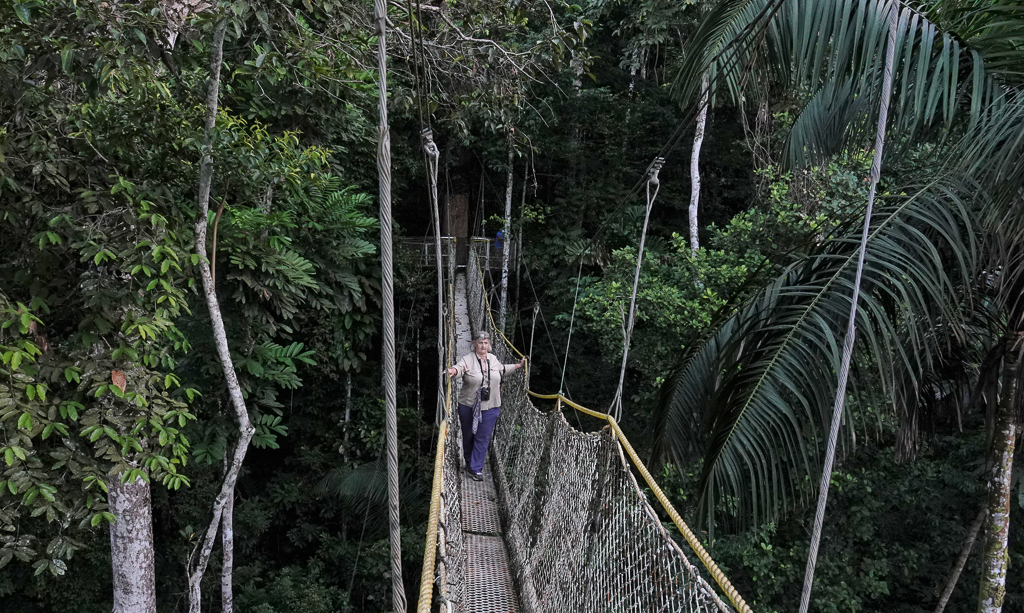 Canopy walkway Guyana