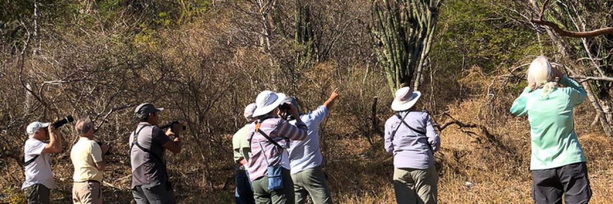Southern Mexico Birding Tour 2022 Trip Report