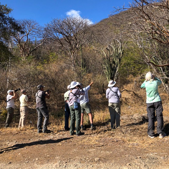 Birders in Southern Mexico