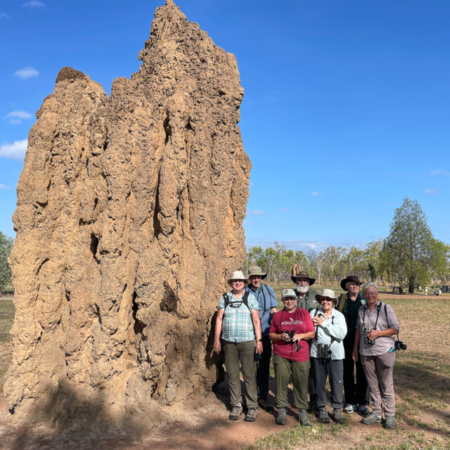 Eagle-Eye Tours birding group at termite mound in Australia