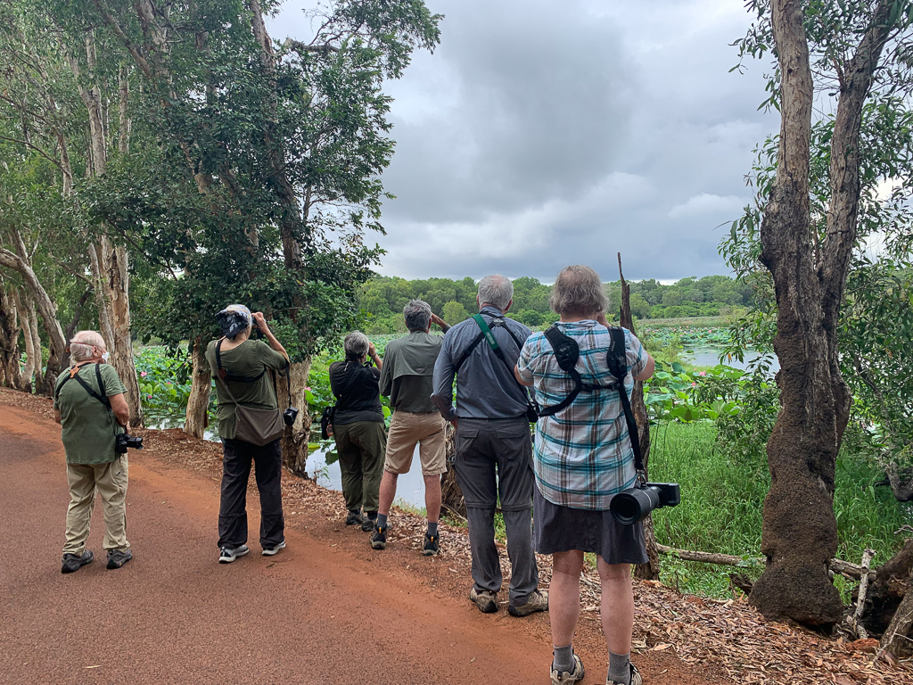 Fogg Dam Conservation Reserve - watching White-browed Crake