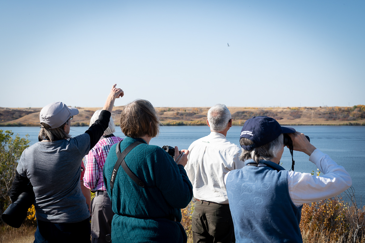 birders in Saskatchewan