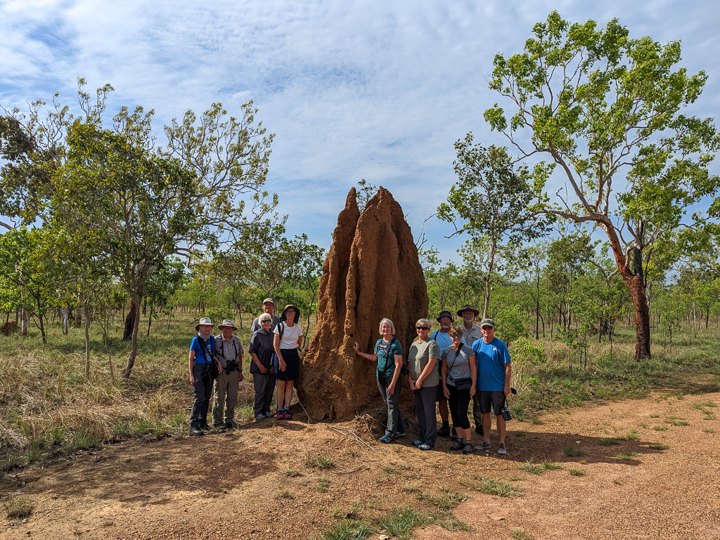 Group at termite mound