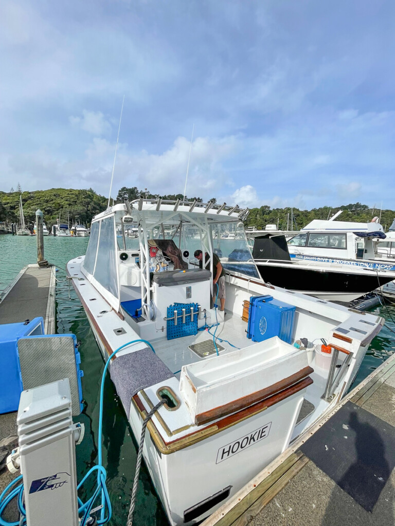 Pelagic boat New Zealand