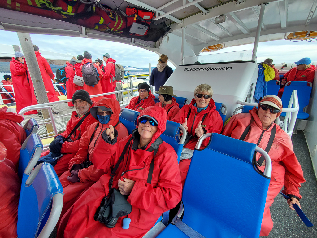 Pelagic tour, Tasmania