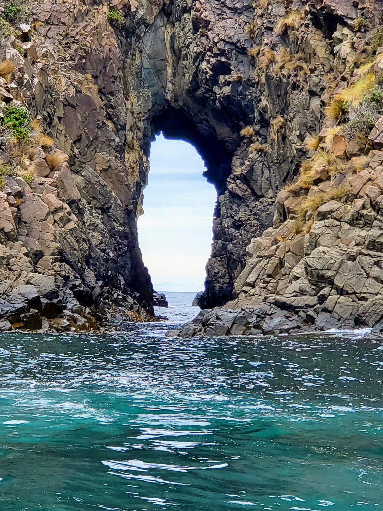 Pelagic tour, Tasmania