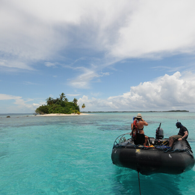 Snorkeling in Melanesia