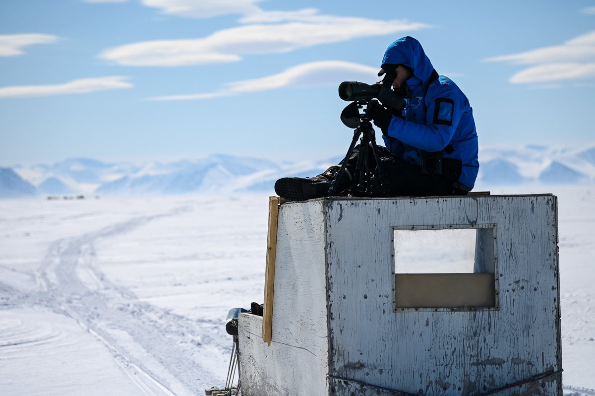 Scoping for Narwhal on Baffin Island