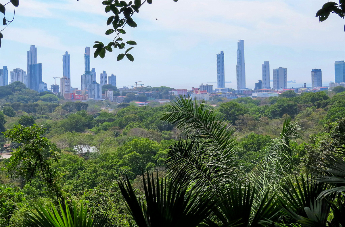 View from Met Park, Panama