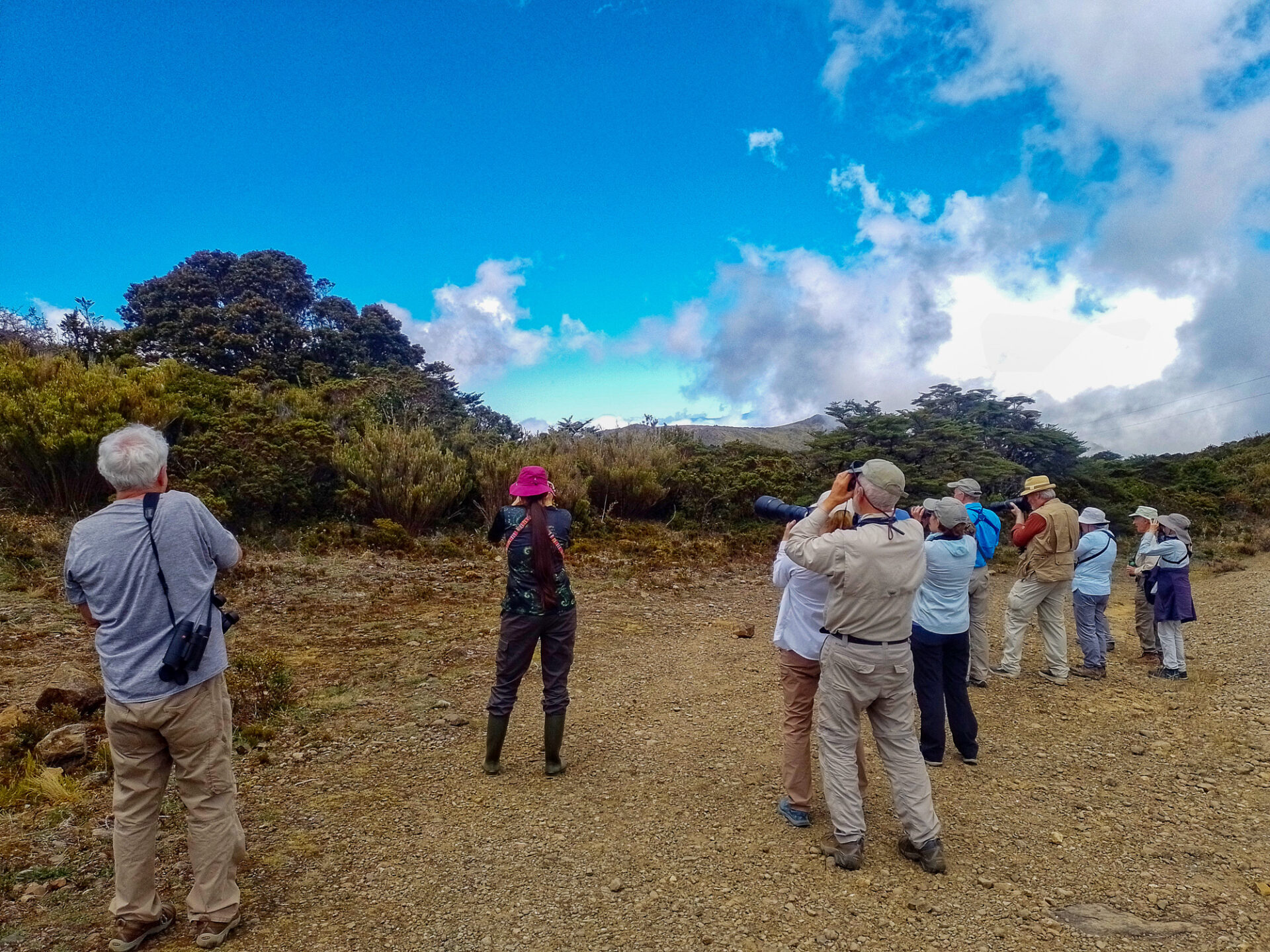 BIrding at Cerro de la Muerte, Costa Rica