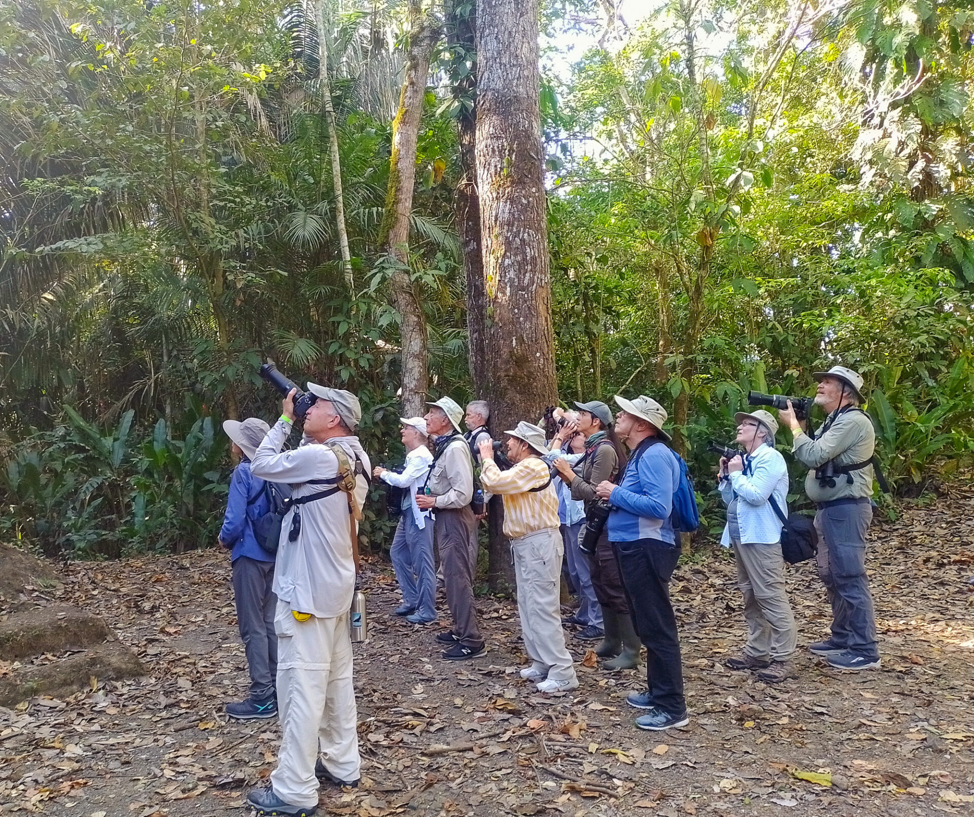 Birding in Carara, Costa Rica