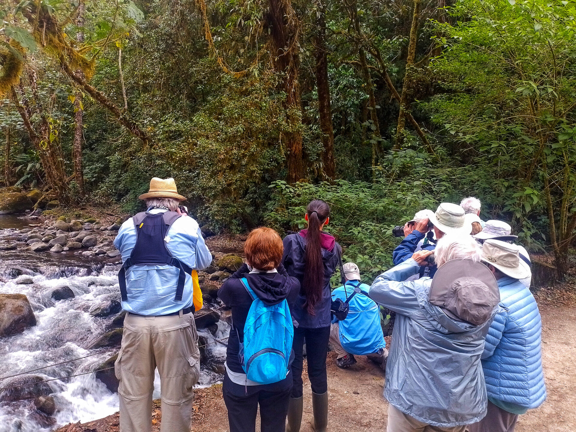 Birding in Savegre, Costa Rica