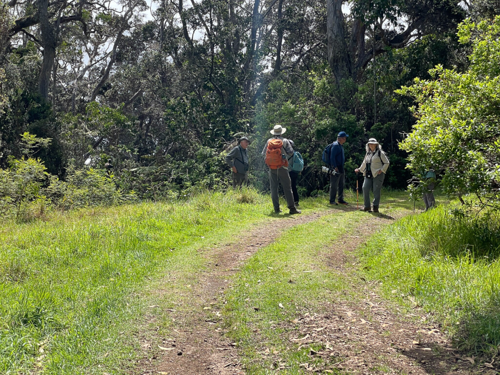 Amy Rangel Hawaii 2023 Trip Report - Eagle-Eye Tours