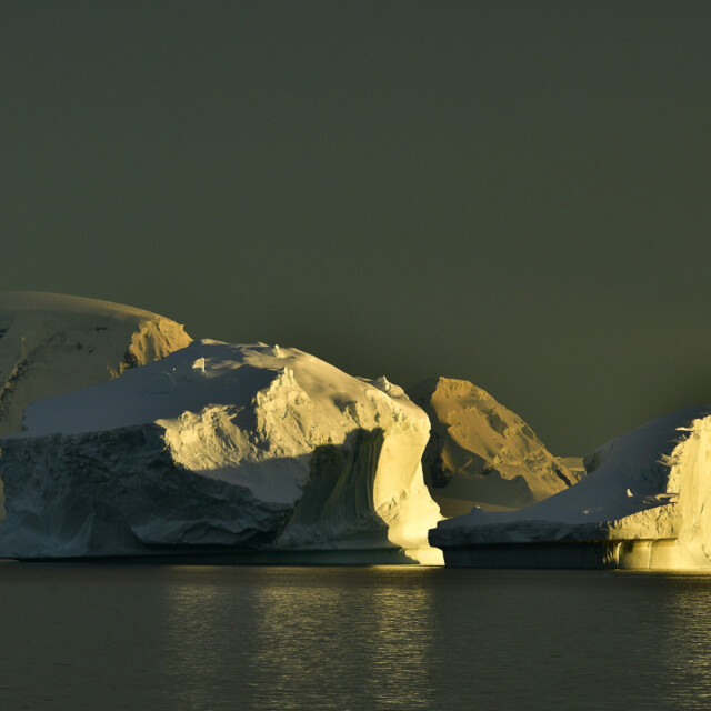 Icebergs in Gerlache Strait