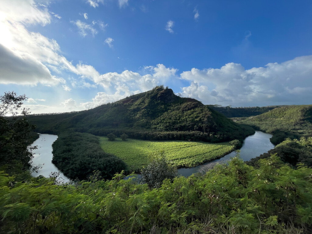 Amy Rangel Hawaii 2023 Trip Report - Eagle-Eye Tours