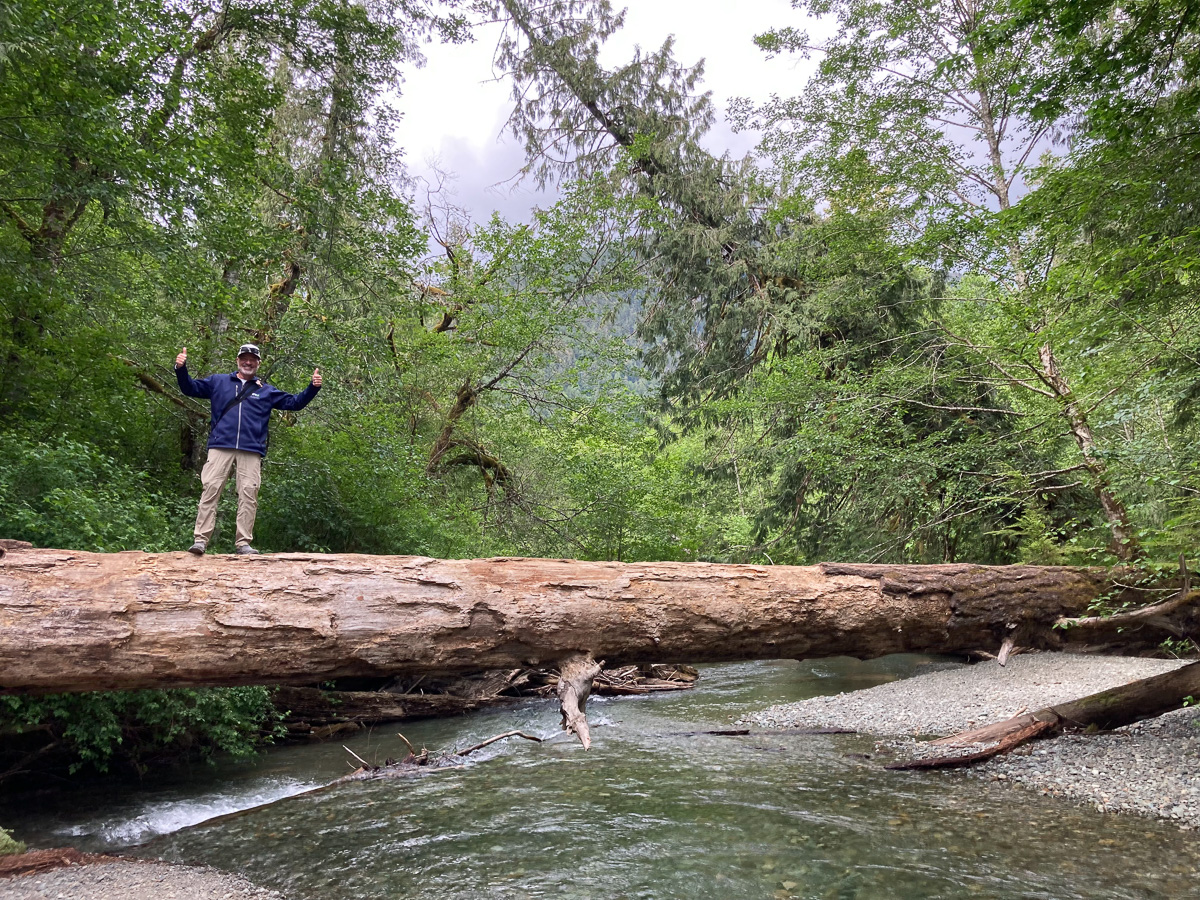 Cathedral Grove