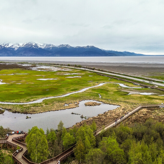Picture was taken at Potter Marsh near Anchorage, Alaska. This is a wetland for birds. Many come and enjoy looking for various birds, animals, and foliage.