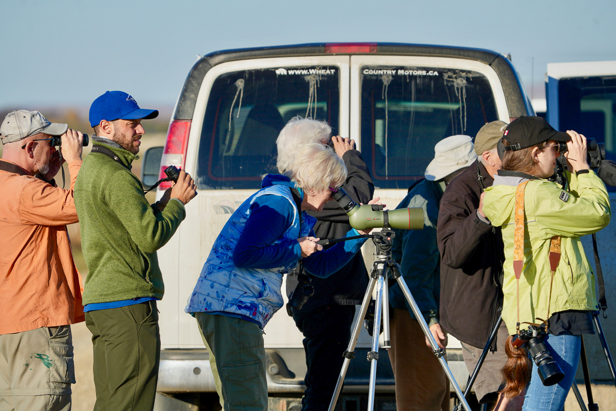 Birdwatching in Saskatchewan