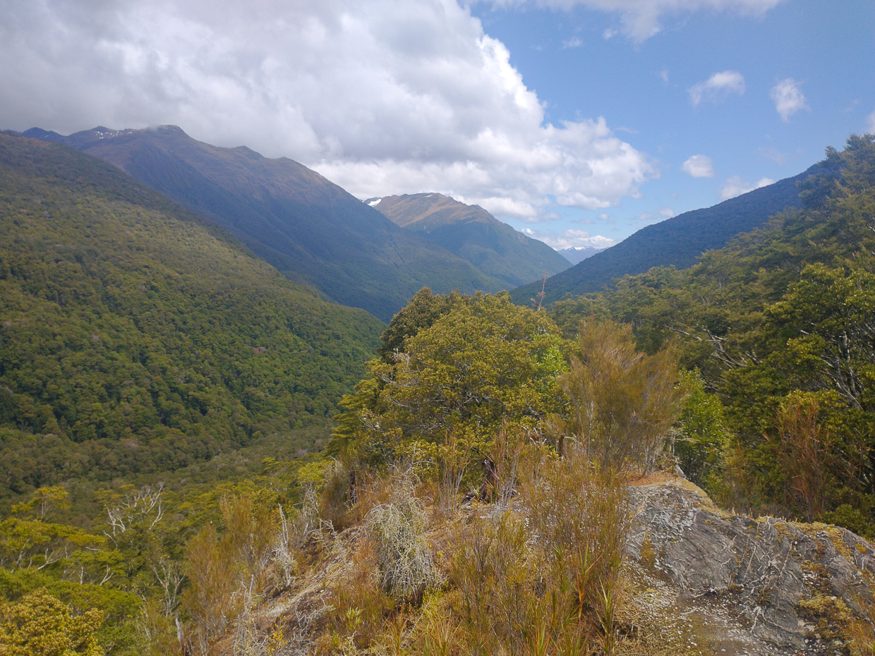 View from Haast Pass Lookout