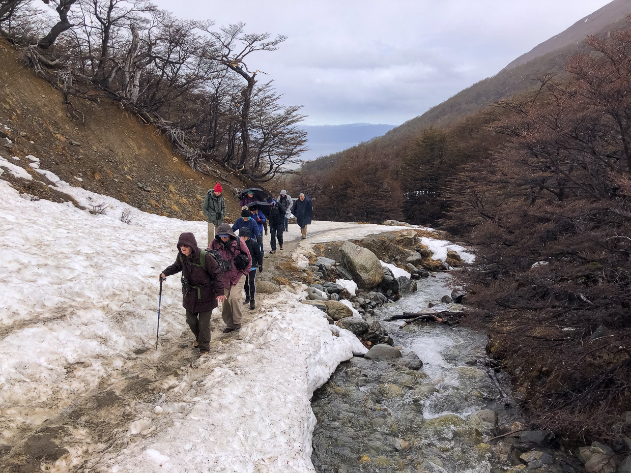 Glacier Martial snow hike