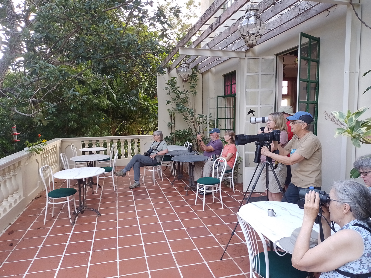 Birding at Pax Guest House 