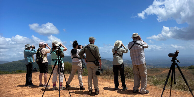 Panama Trip Report (Mar 2 - 11, 2024)