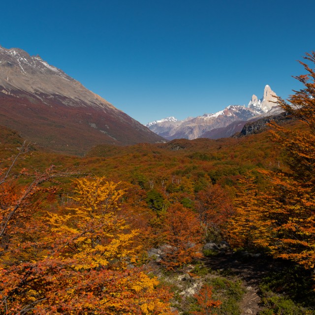 Fitzroy autumn colors