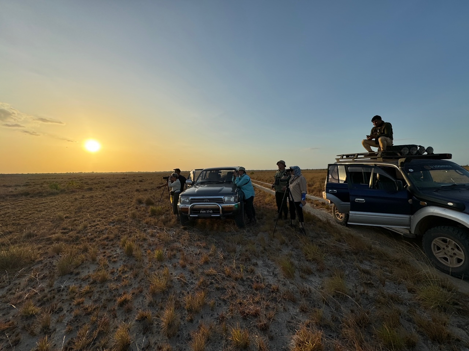 Sunset birding on the savanna near Manari Ranch