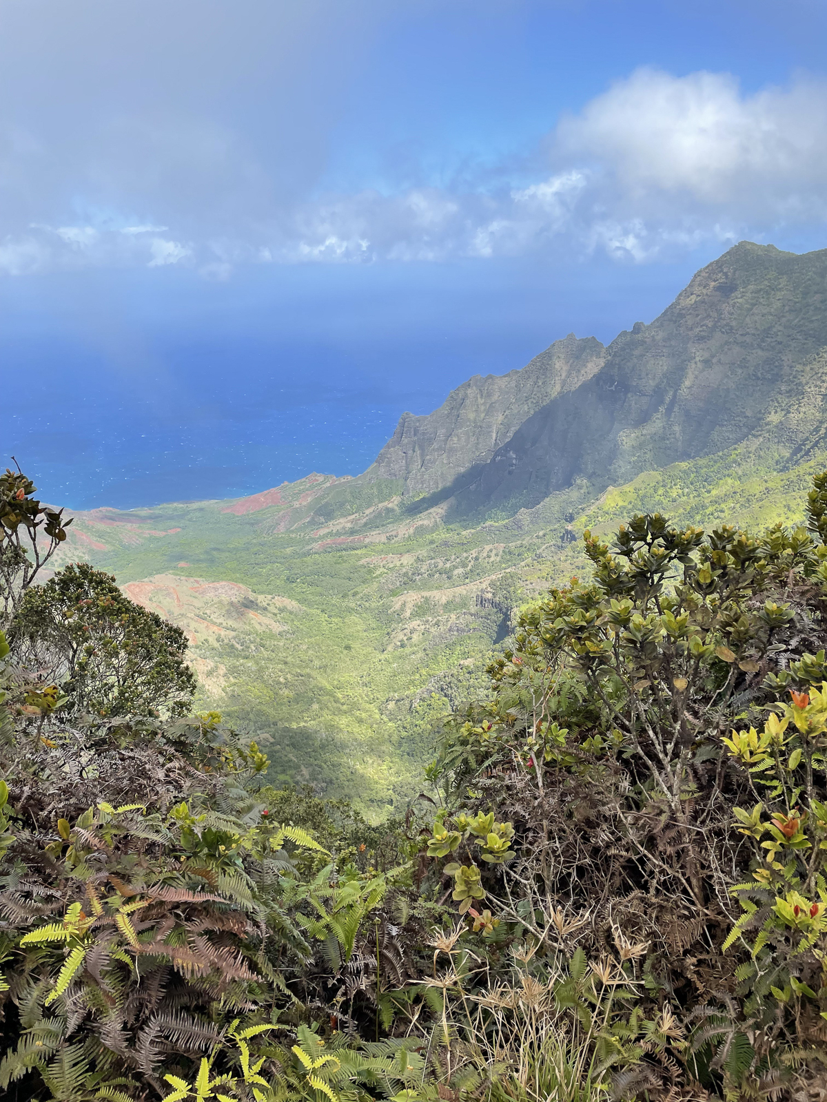 Kalalau Lookout, Kokee State Park