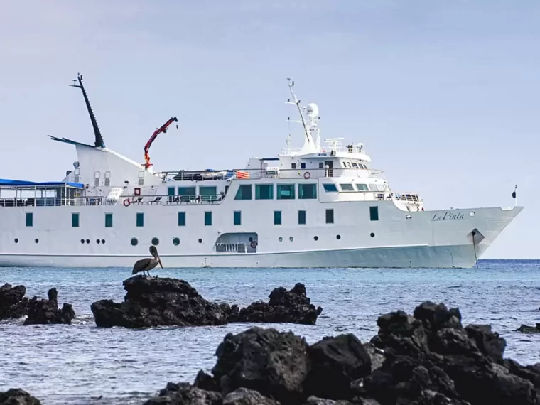 La Pinta at sea