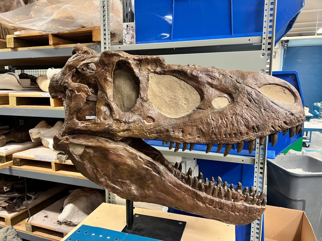 Alberta Birds & Dinosaurs Trip Report (May 25 - 29, 2024) - Eagle-Eye Tours