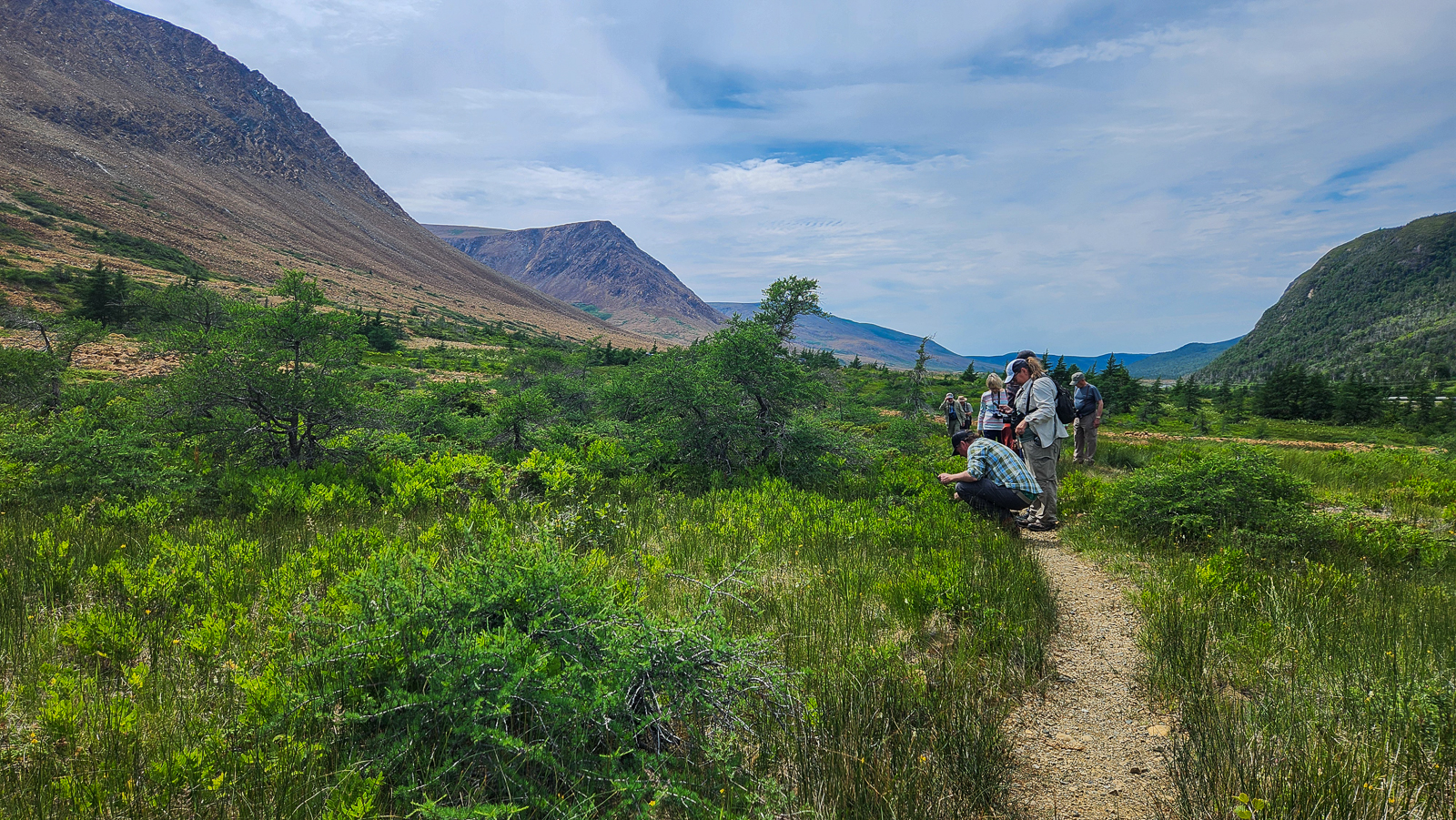 Tablelands