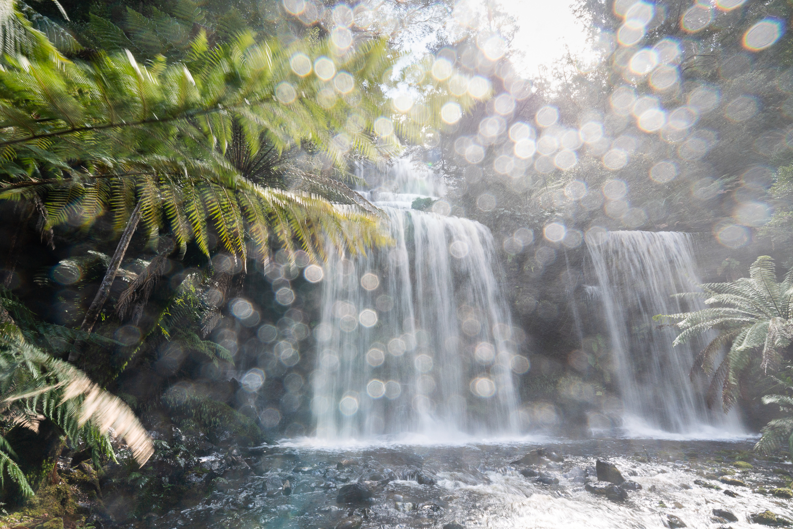 Russell Falls
