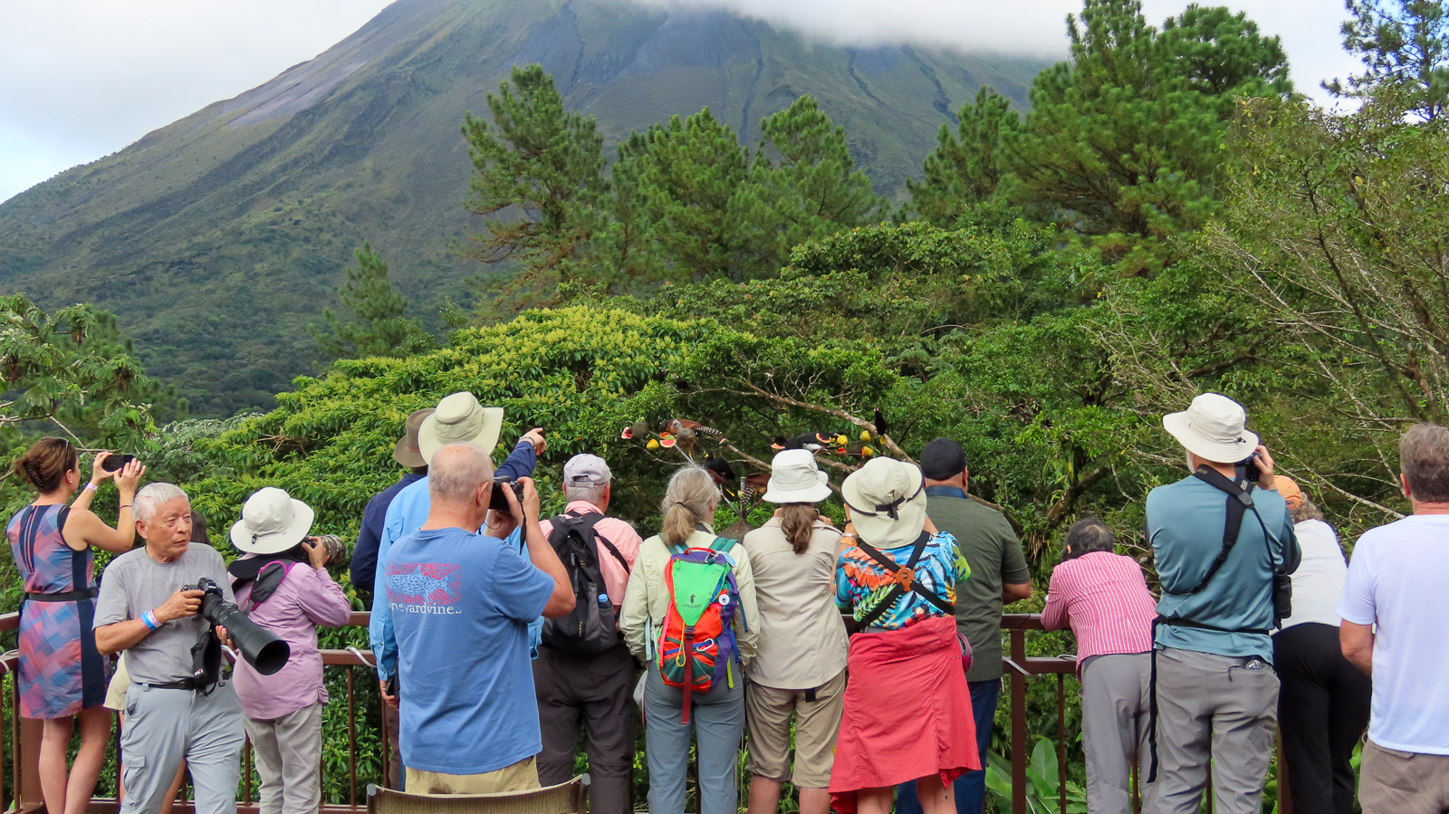 Birding Arenal Lodge feeders