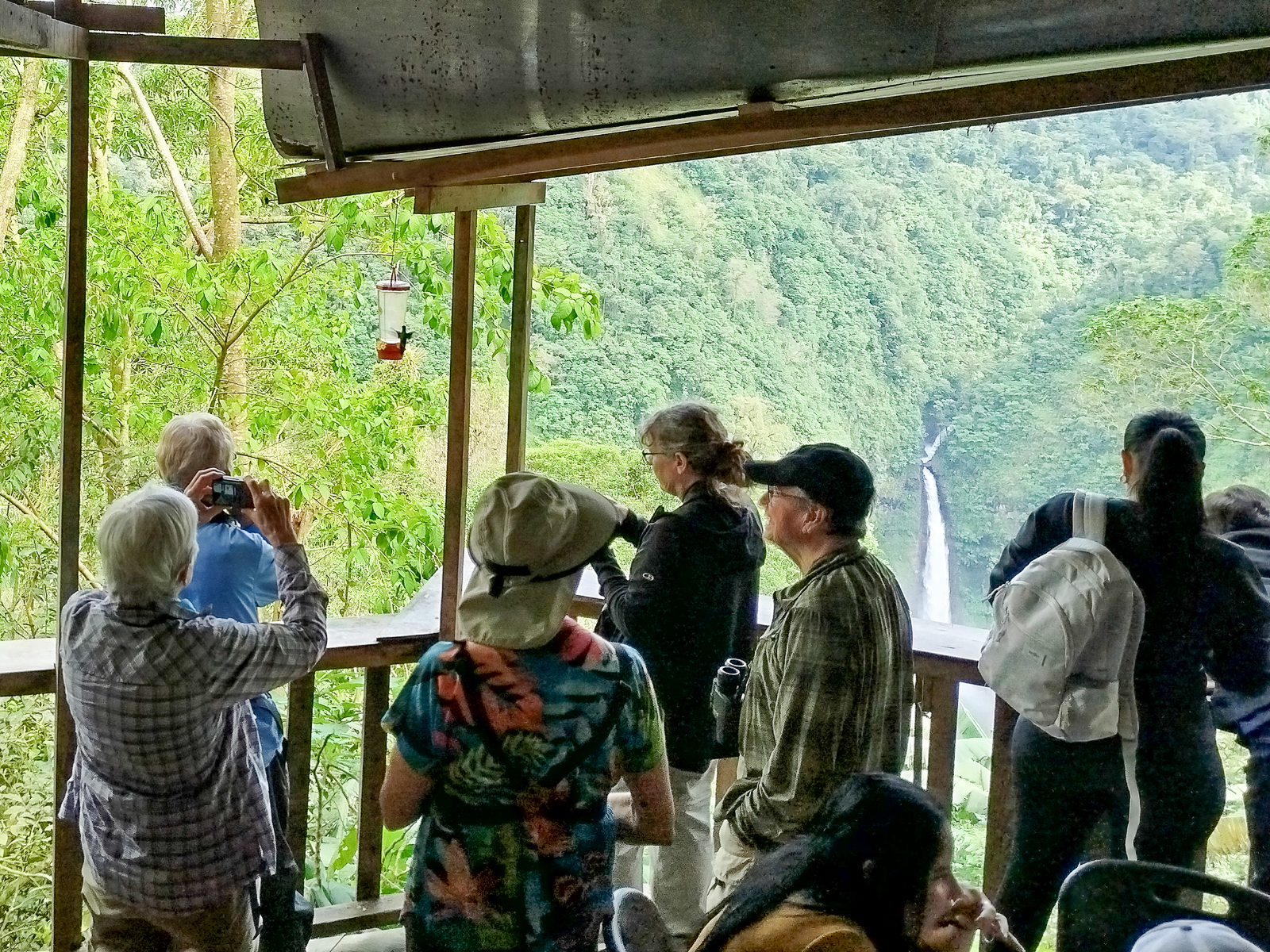 Birding at Cinchona