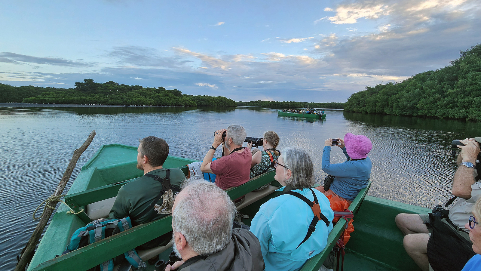 Caroni Swamp