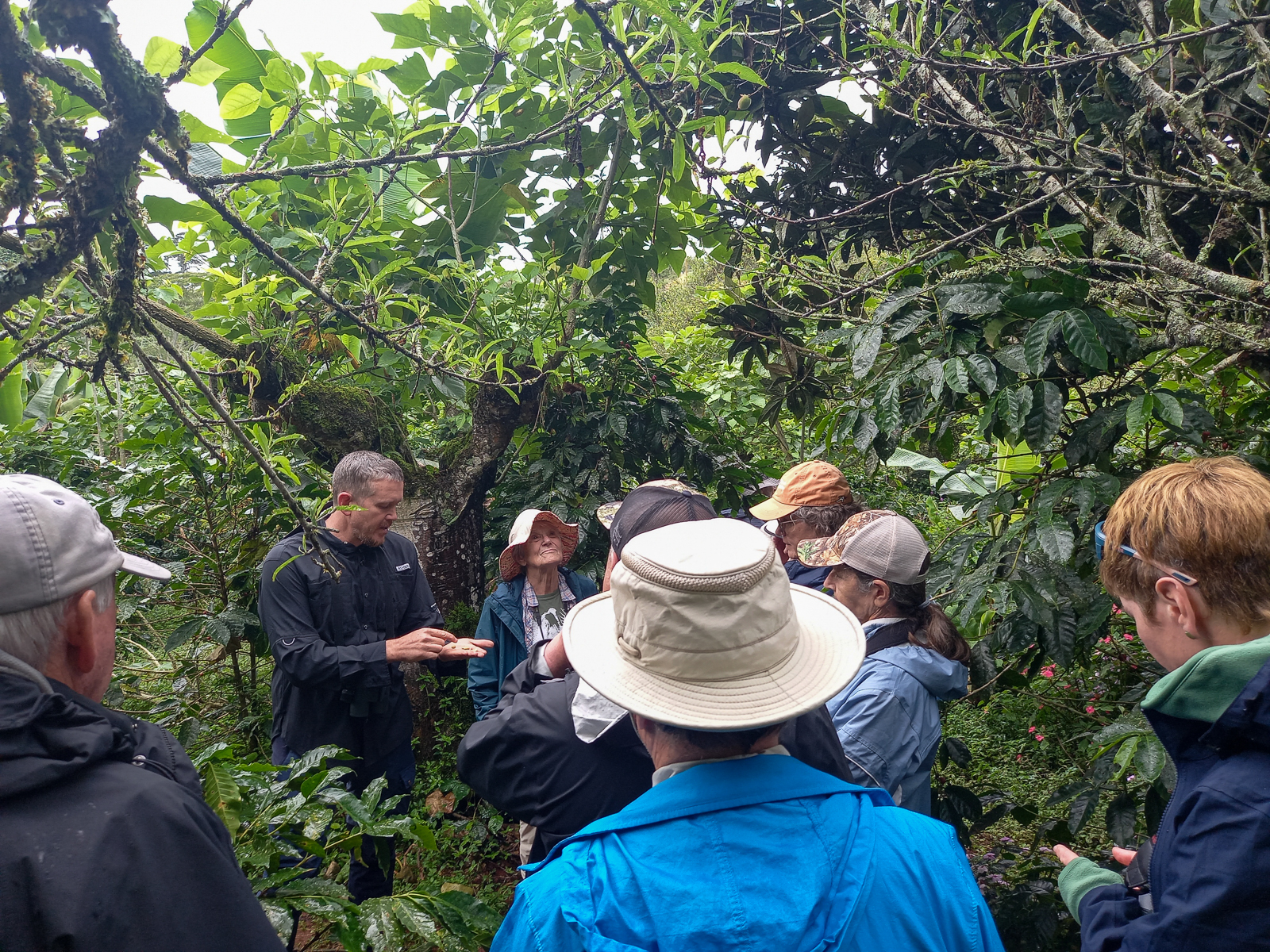 Coffee tour