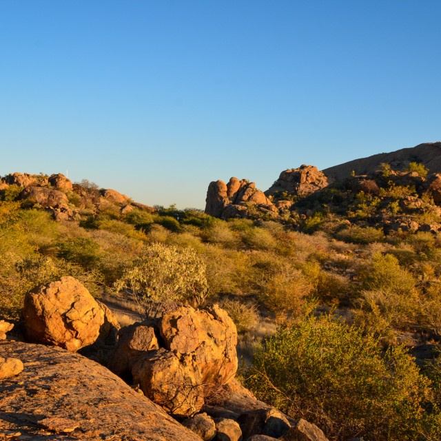 Erongo Landscape