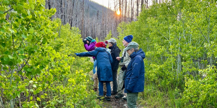 Canadian Rockies: Waterton Lakes trip report (May 30 - Jun 4, 2025)