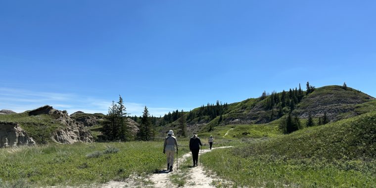 Alberta Birds & Dinosaurs Trip Report (May 27 - 31, 2025)
