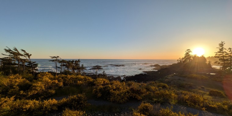 Ultimate British Columbia: Coast & Grasslands Trip Report (May 26 -Jun 5, 2025)