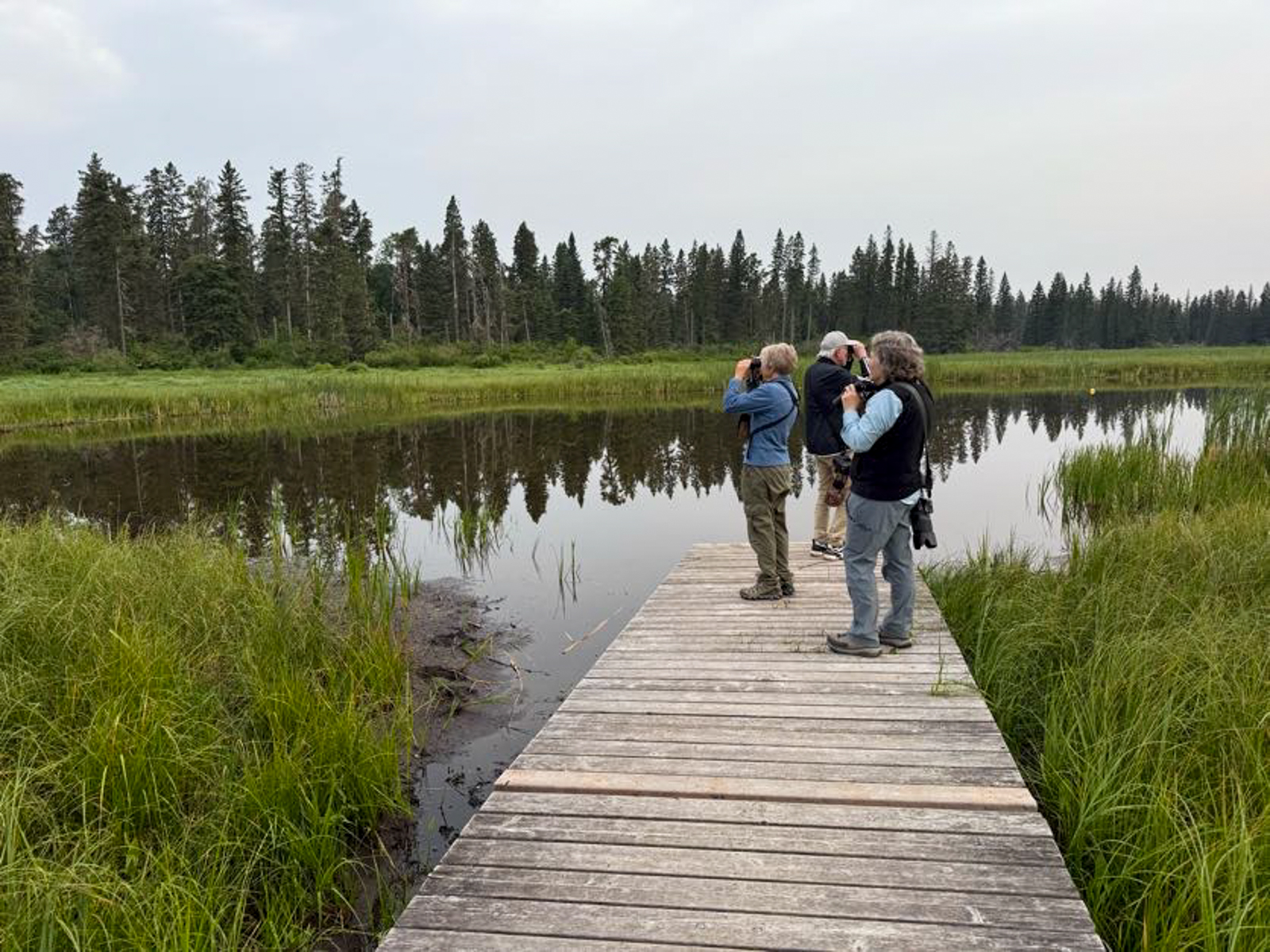 Birders in Manitoba