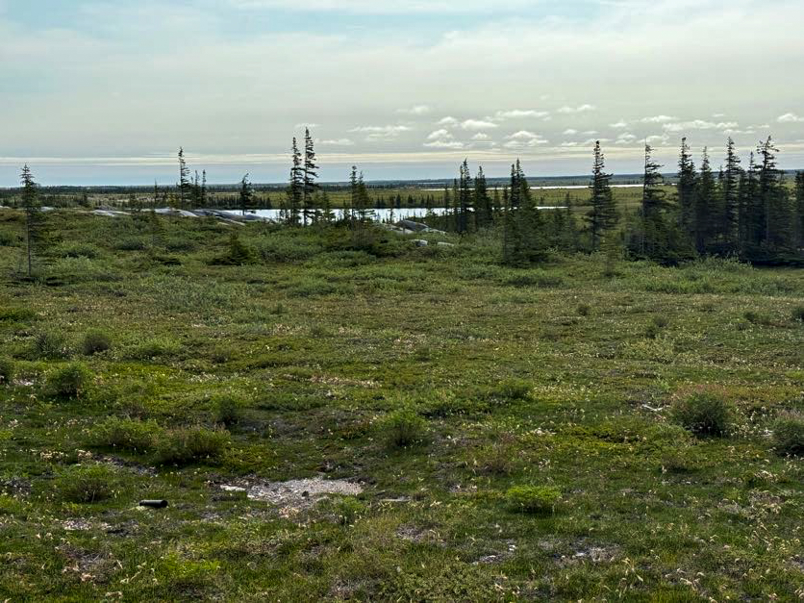 Churchill landscape