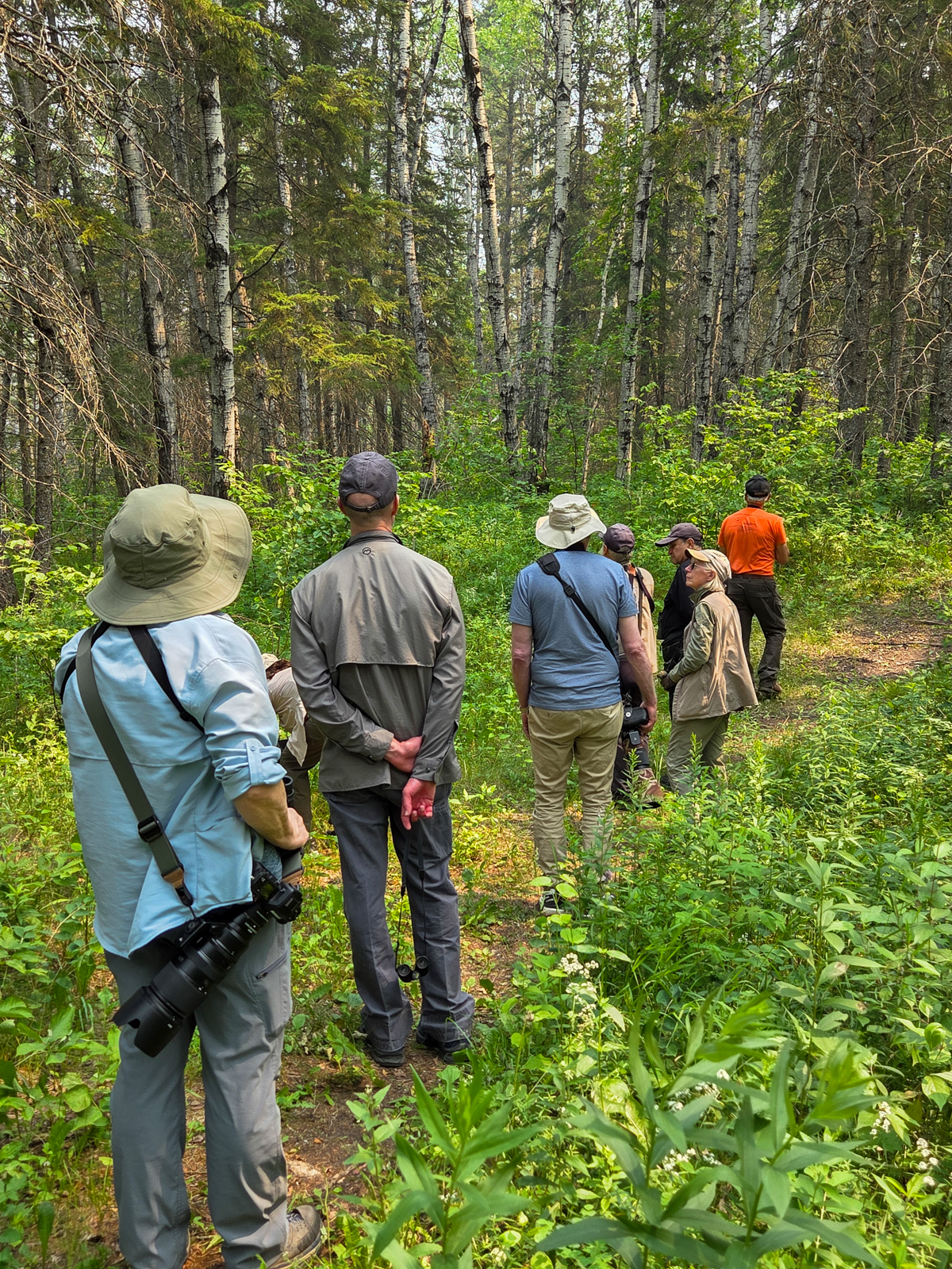 Birding in Manitoba